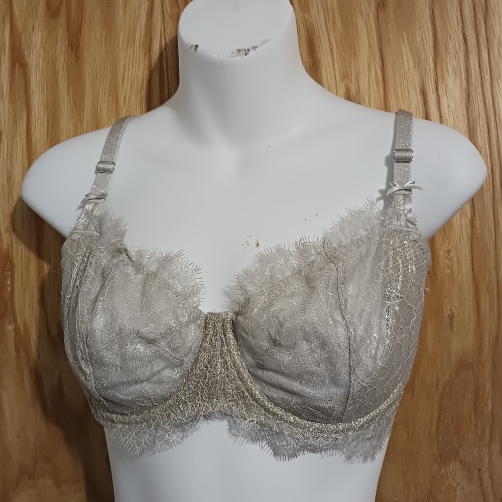 5 For $25! Victoria's Secret Dream Angels Silver Lace Push-Up w/o Pad Size 34DD